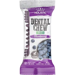 12 FOR $12: Absolute Holistic Boost Blueberry Grain-Free Dental Dog Chew 25g fly trap horse fly spray poultry fly control fly repellent farm fly solution