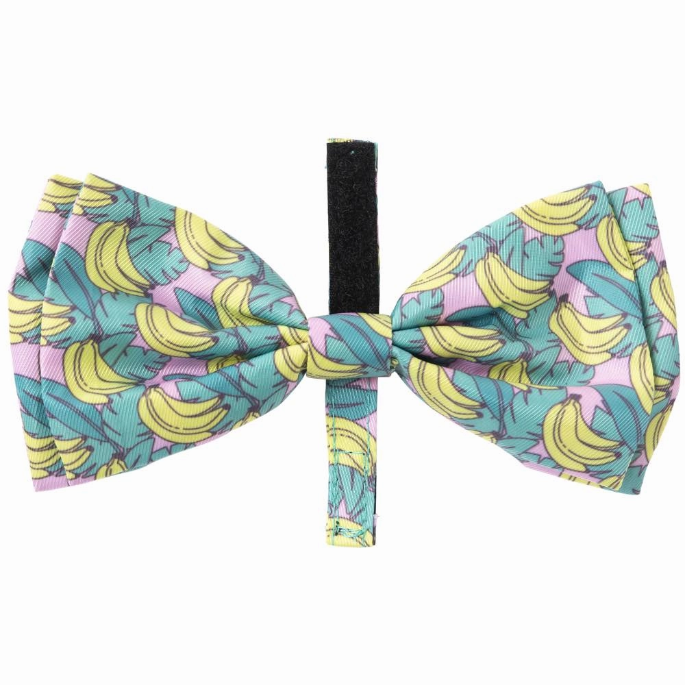 15% OFF: FuzzYard Bowtie For Cats & Dogs (Bananarama) cat leash cat bowtie cat hat cat bandana cat costume