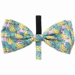 15% OFF: FuzzYard Bowtie For Cats & Dogs (Bananarama) cat leash cat bowtie cat hat cat bandana cat costume