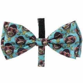 15% OFF: FuzzYard Bowtie For Cats & Dogs (Gor-illz) cat leash cat bowtie cat hat cat bandana cat costume