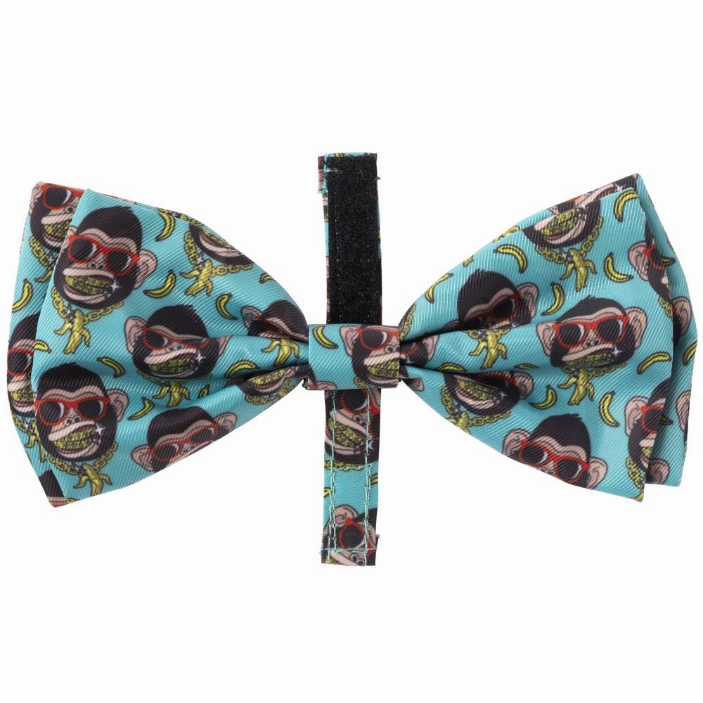 15% OFF: FuzzYard Bowtie For Cats & Dogs (Gor-illz) cat leash cat bowtie cat hat cat bandana cat costume