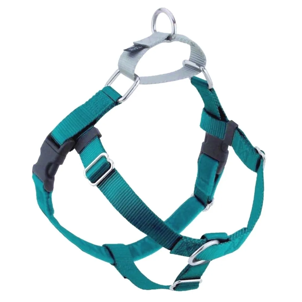 2 Hounds Design Freedom No-Pull Dog Harness & Leash - Teal/Silver grain free dog food natural dog biscuits high protein dog food dog food pack dog meat sticks