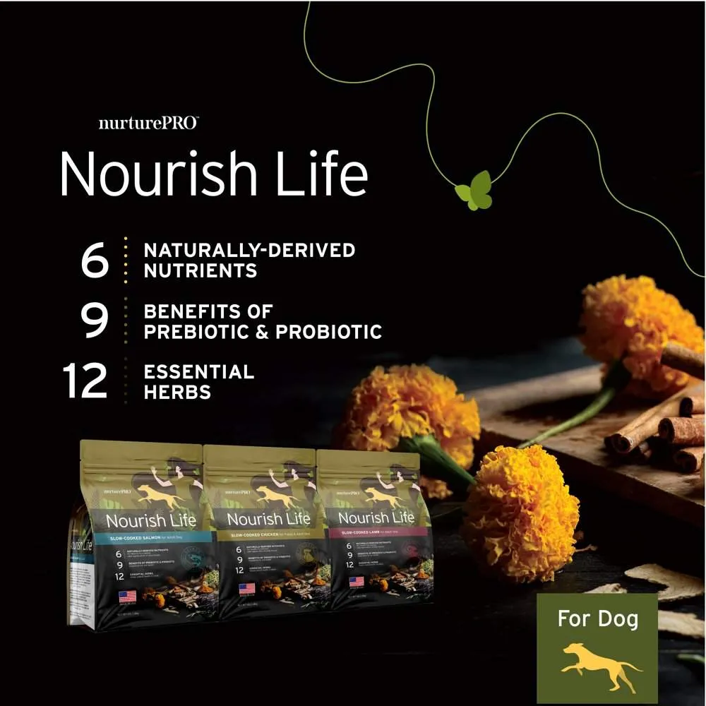 20% OFF: Nurture Pro Nourish Life Salmon Adult Dry Dog Food