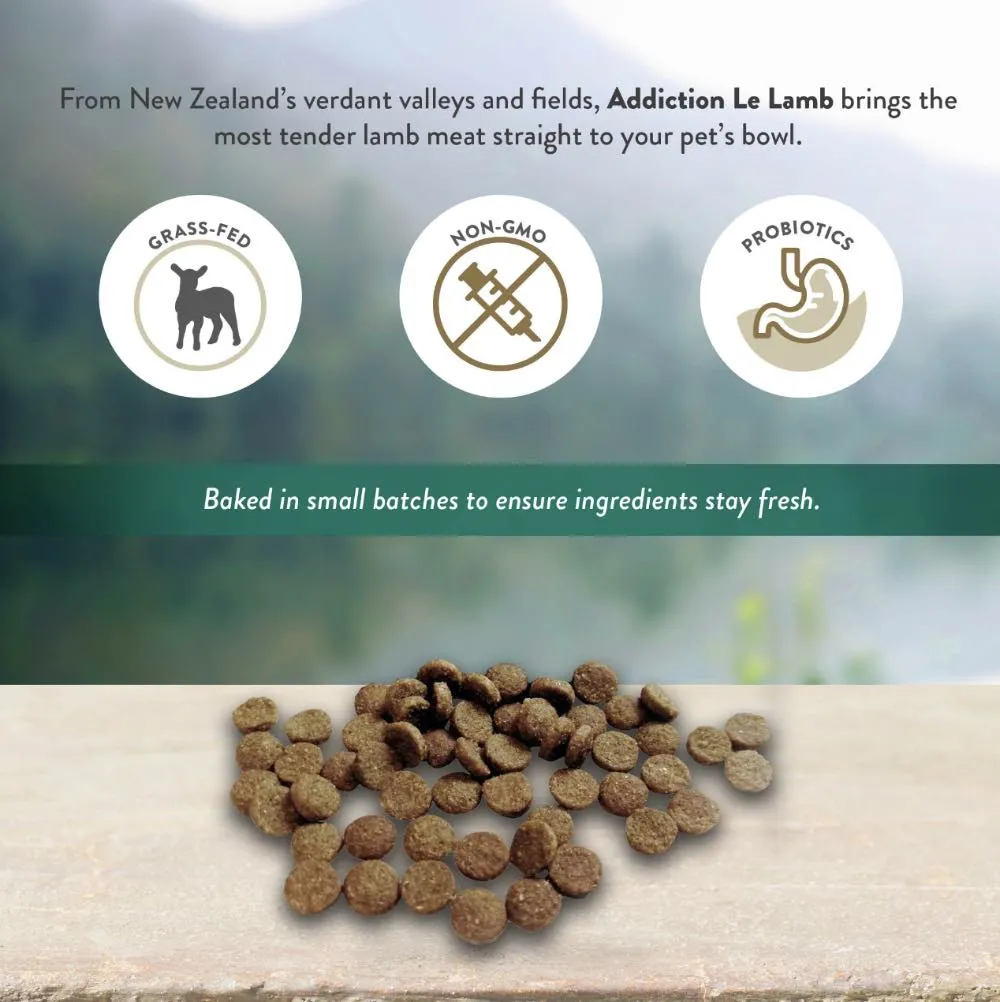 25% OFF/BUNDLE DEAL: Addiction Le Lamb Grain Free Dry Dog Food