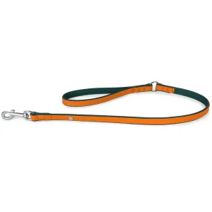 30% OFF: Das Lederband Firenze Leather Dog Leash (Orange/Forest) grain free dog food natural dog biscuits high protein dog food dog food pack dog meat sticks