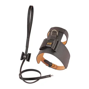 30% OFF: Moshiqa Bijou Leather Dog Harness & Bisou Leather Dog Leash Set (Brown) grain free dog food natural dog biscuits high protein dog food dog food pack dog meat sticks
