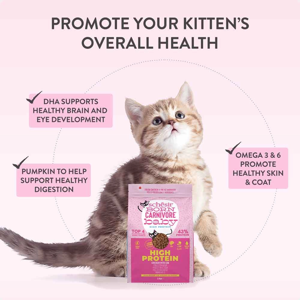 33% OFF: Schesir Born Carnivore Chicken with Egg Oven Baked Dry KITTEN Food