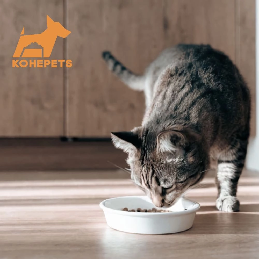 $10 OFF 24 cans: Aixia Kuro-Can Mini Tuna & Skipjack Tuna with Dried Skipjack Canned Cat Food 80g x 24