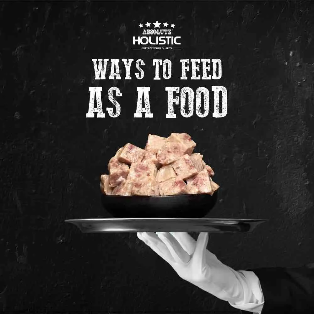 Absolute Holistic Duck Complete & Balanced Meaty Loaf Wet Tray Dog Food 100g