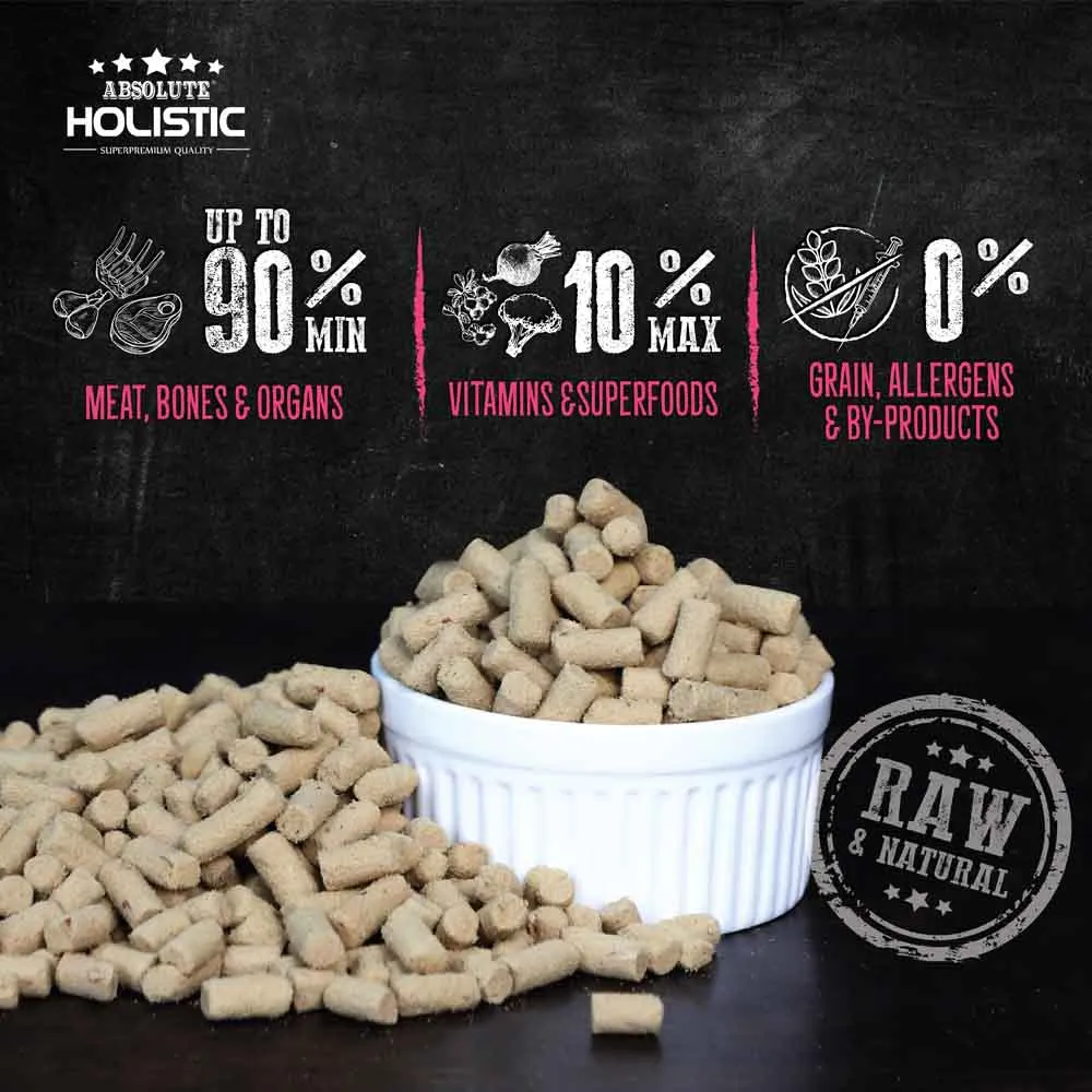 Absolute Holistic Raw in the Bag Pork Bites Complete Freeze Dried Dog Food 14oz