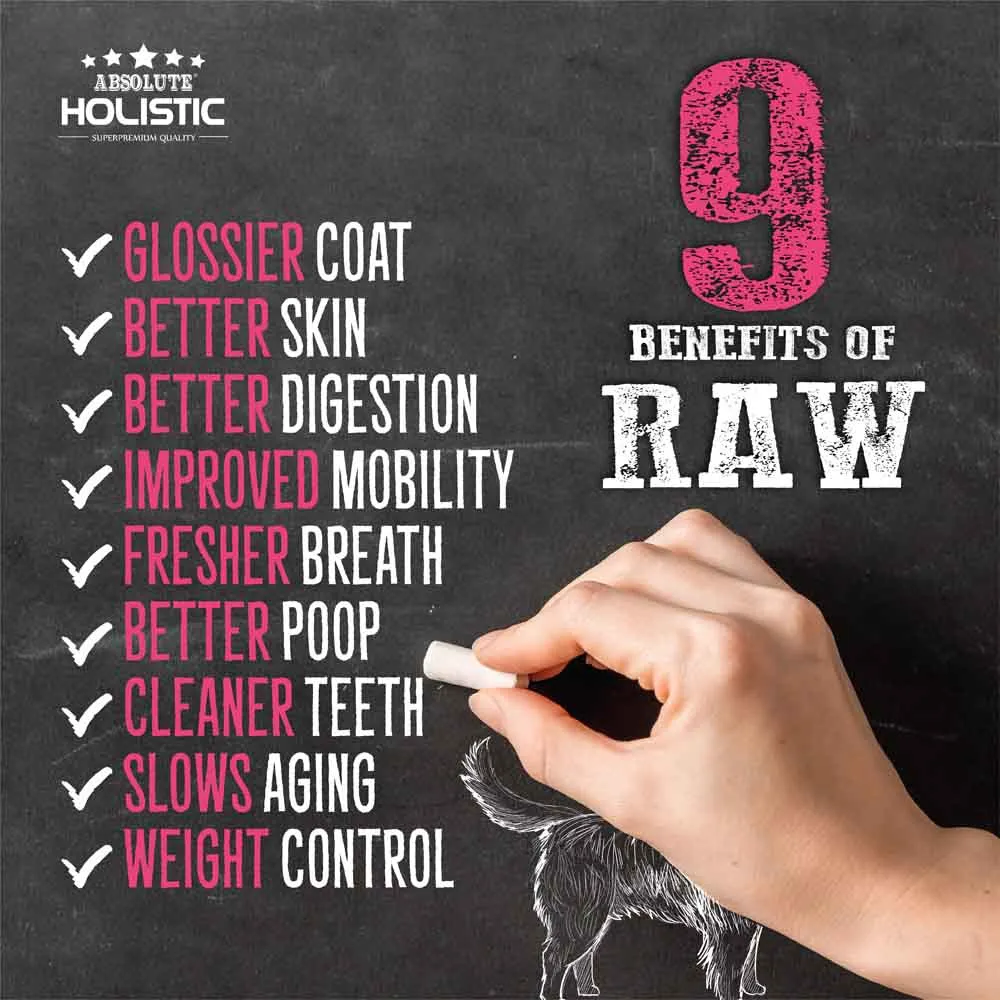 Absolute Holistic Raw in the Bag Pork Bites Complete Freeze Dried Dog Food 14oz