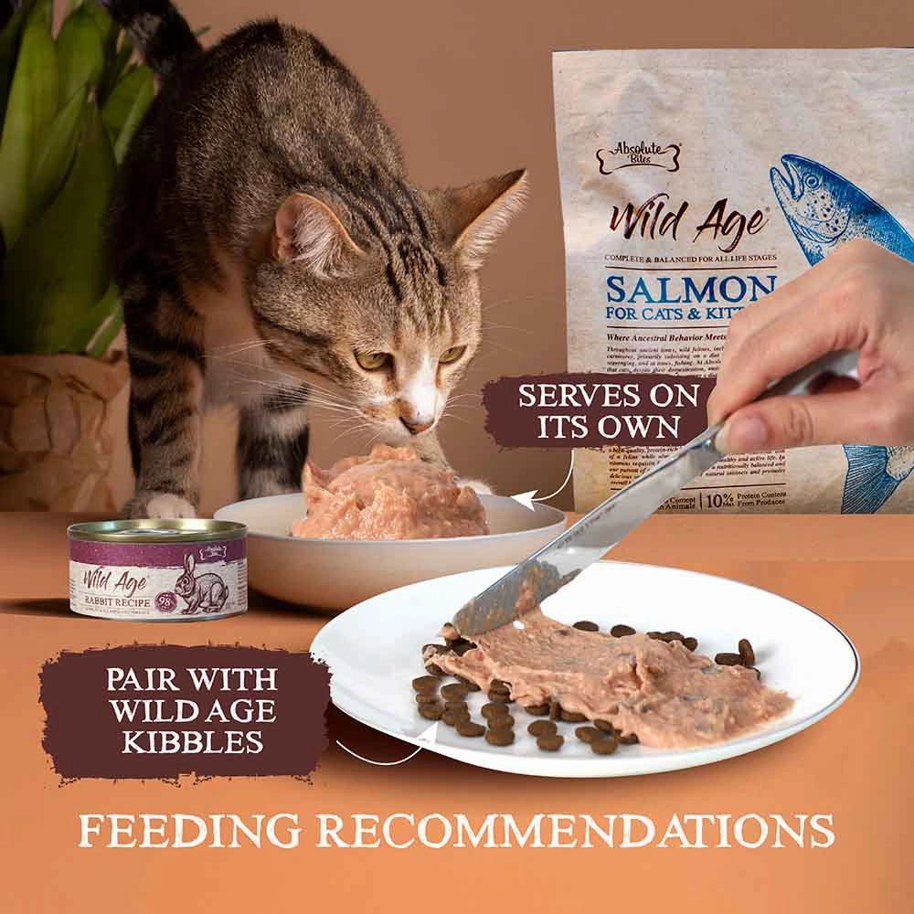 Absolute Bites Wild Age Salmon Complete & Balanced Diet Canned Cat Food 80g - Box of 6