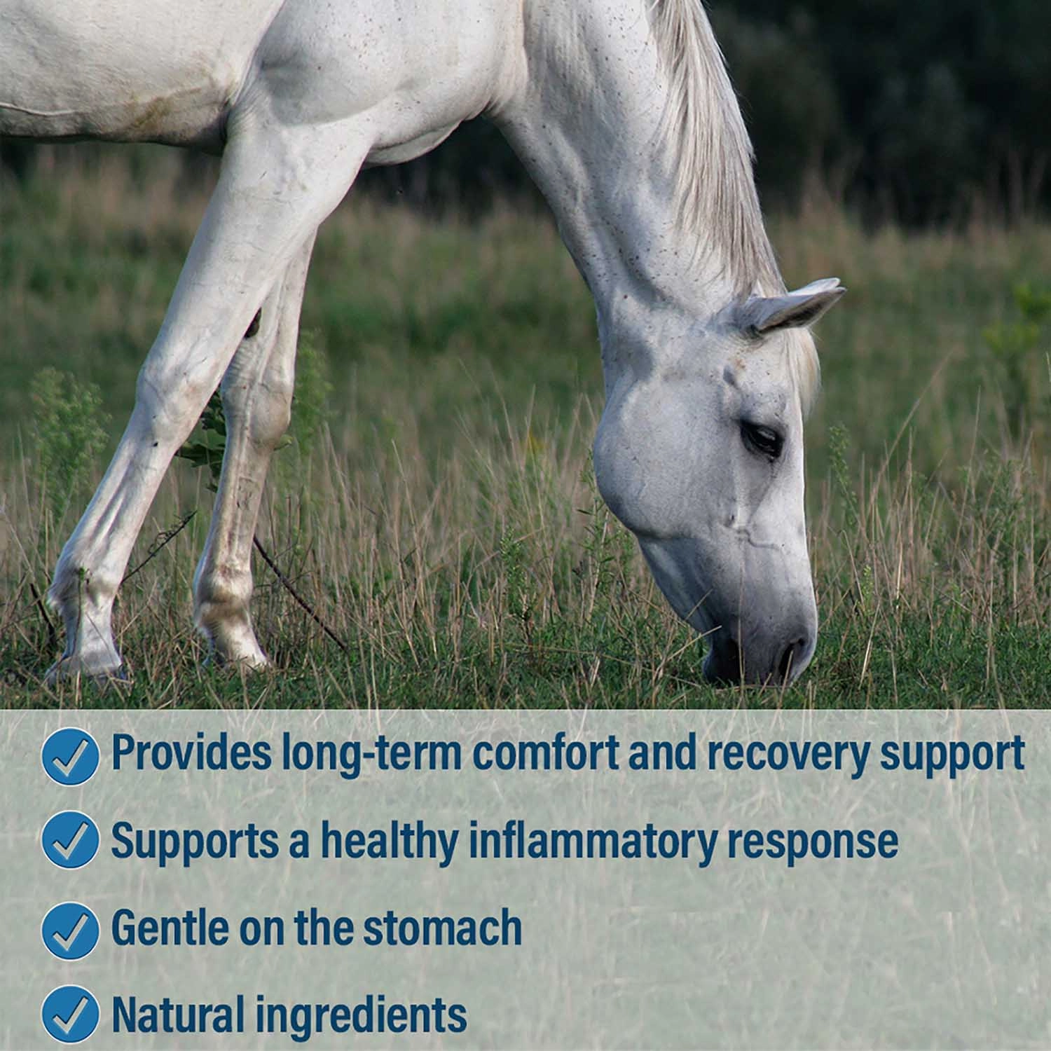 Absorbine BUTE-LESS Inflamation Supplement for Horses