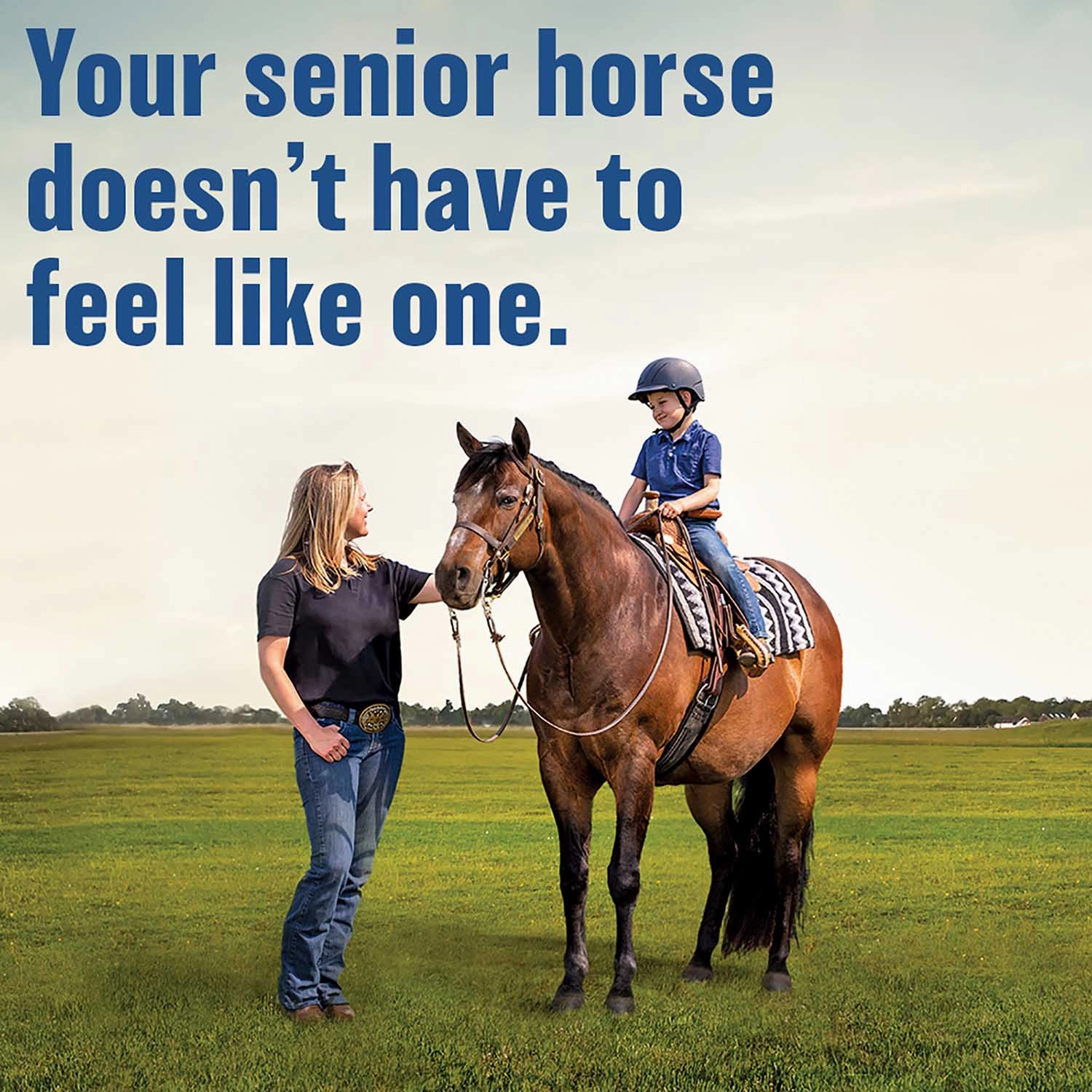 Absorbine BUTE-LESS Inflamation Supplement for Horses