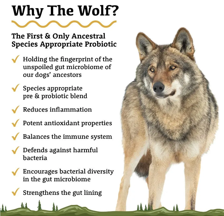 Adored Beast Apothecary Roots - Grounded in Ancient Wisdom - The Wolf | Species Appropriate Probiotic 60mL