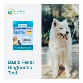 Affordable Pet Labs - Basic Fecal Diagnostic Test For Dogs & Cats, Easy Home Kit cat scratchers cat towers cat window perch cat heating pad cat calming spray