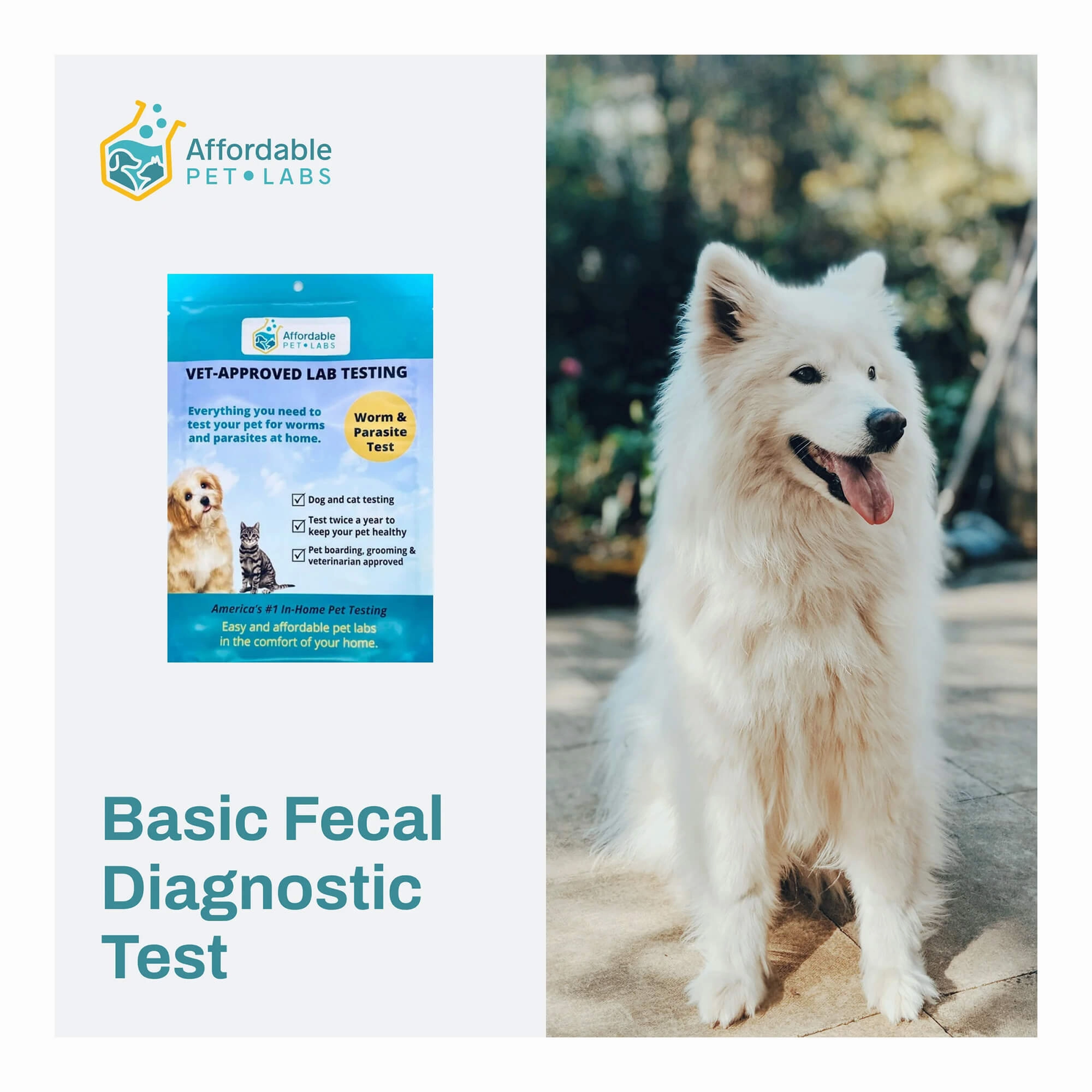 Affordable Pet Labs - Basic Fecal Diagnostic Test For Dogs & Cats, Easy Home Kit cat scratchers cat towers cat window perch cat heating pad cat calming spray
