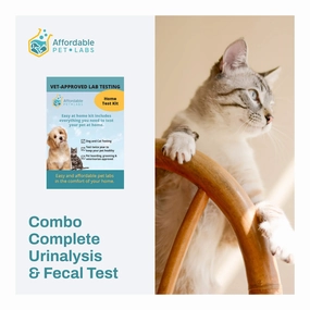 Affordable Pet Labs - Combo Complete Urinalysis & Fecal Test For Cats, Easy Home Kit cat scratchers cat towers cat window perch cat heating pad cat calming spray