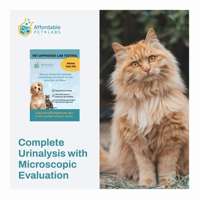 Affordable Pet Labs - Complete Urinalysis with Microscopic Evaluation For Cats, Easy Home Test Kit cat scratchers cat towers cat window perch cat heating pad cat calming spray