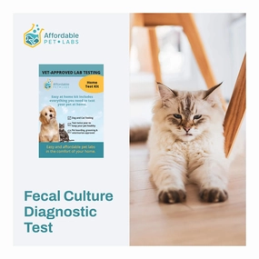 Affordable Pet Labs - Fecal Culture Diagnostic Test For Cats, Easy Home Kit cat scratchers cat towers cat window perch cat heating pad cat calming spray