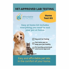 Affordable Pet Labs - Total Kidney Disease plus UPC Diagnostic Test For Cats, Easy Home Kit dog plush squeaky toy interactive plush toy plush rope toy tough plush dog pillow toy