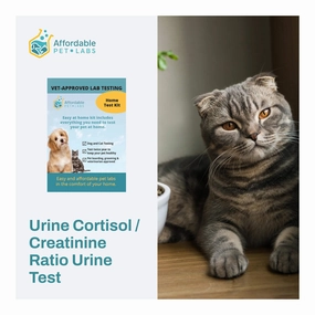 Affordable Pet Labs - Urine Cortisol / Creatinine Ratio Urine Test For Cats, Easy Home Kit dog plush squeaky toy interactive plush toy plush rope toy tough plush dog pillow toy
