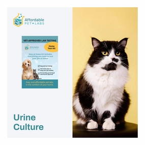 Affordable Pet Labs - Urine Culture For Cats, Easy Home Kit cat scratchers cat towers cat window perch cat heating pad cat calming spray