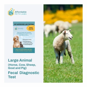 Affordable Pet Labs Large Animal (Horse, Cow, Sheep, Goat and Pig) Fecal Diagnostic Test, Easy Home Kit wet cat food canned food for cats gravy cat cans soft texture cat food wet pouches