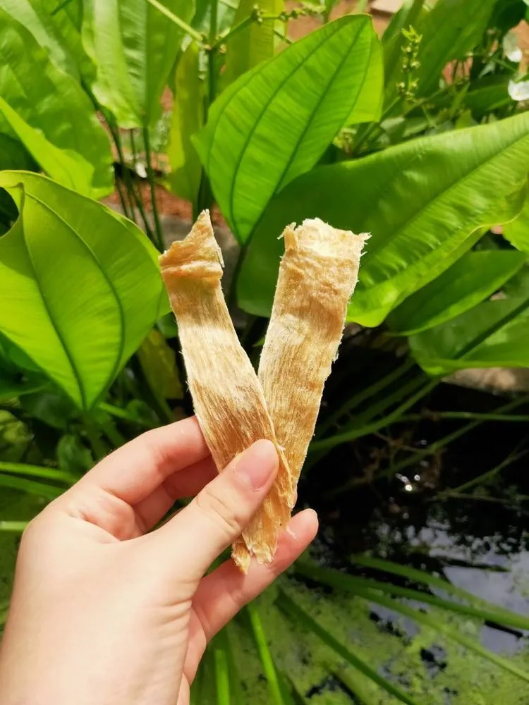 Alpha Origin Crocodile Jerky Grain-Free Dog Treats 80g