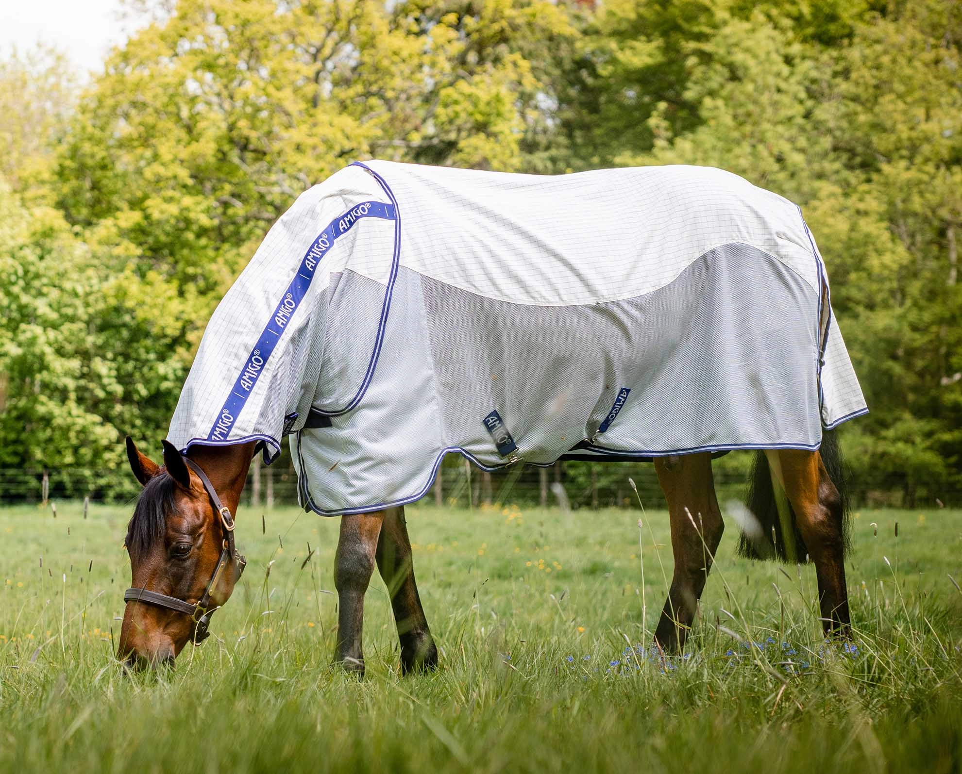 Amigo Airflow Horse Fly Sheet pet shampoo pet brush pet wipes pet scissors pets comb