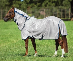 Amigo Mio Horse Fly Sheet tuff dog toys durable toys for dogs chew tested toys hard chew toy strong plush