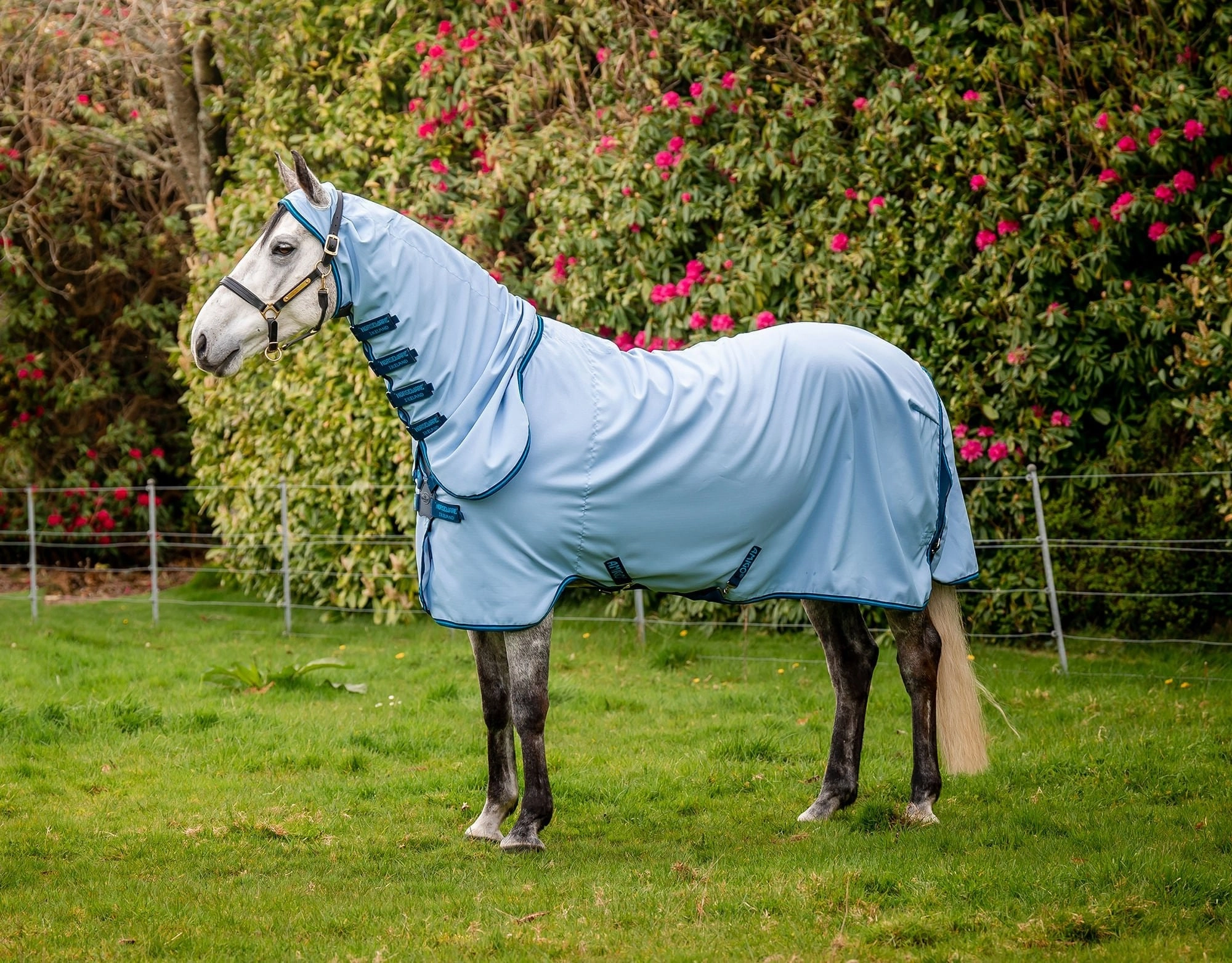 Amigo Ripstop Hoody Horse Fly Sheet poultry remedies poultry supplement goat vitamins sheep probiotics animal health boost