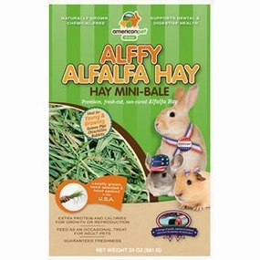 APD Alffy Alfalfa Hay Minibale 24oz dog water fountain slow feeder automatic dog feeder gravity feeder dog food dispenser