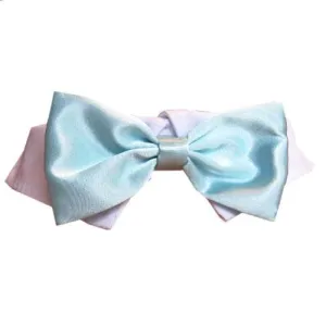 Aqua Satin Dog Bow Tie Collar treats for dogs dog biscuits dog reward treats organic dog snacks natural dog biscuits