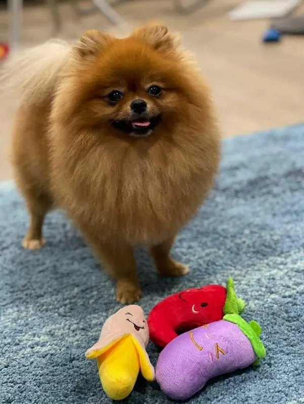 Banana Squeaker Dog Toy
