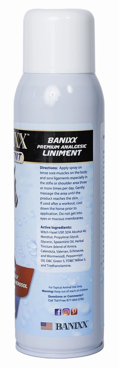 Banixx Premium Spray Liniment