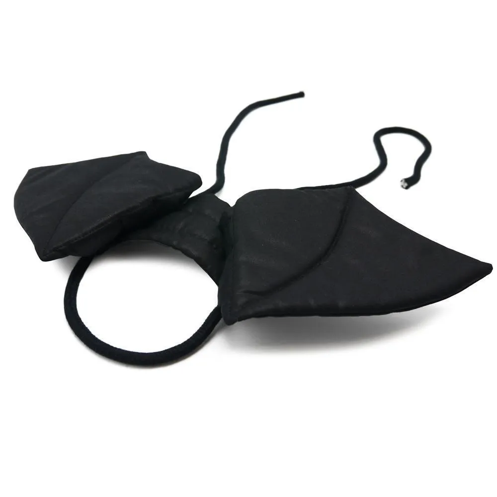 Bat Wings Dog Costume