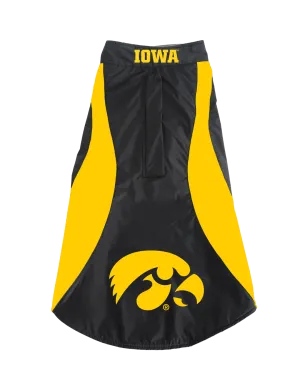 BayDog Iowa Hawkeyes Dog Fleece dog accessories dog collar dog leash dog bowtie dog backpack