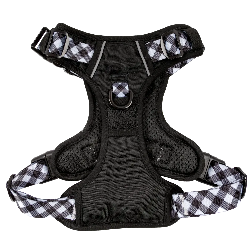 Big & Little Dogs All Rounder Harness - Black