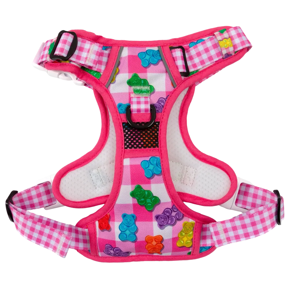 Big & Little Dogs Beary Sweet All Rounder Harness small animal food rabbit pellets hamster food guinea pig snacks small pet mix