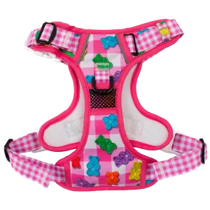 Big & Little Dogs Beary Sweet All Rounder Harness small animal food rabbit pellets hamster food guinea pig snacks small pet mix