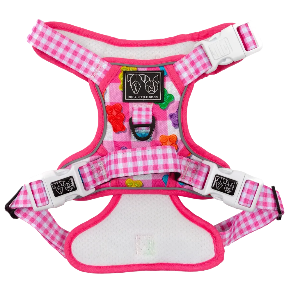 Big & Little Dogs Beary Sweet All Rounder Harness