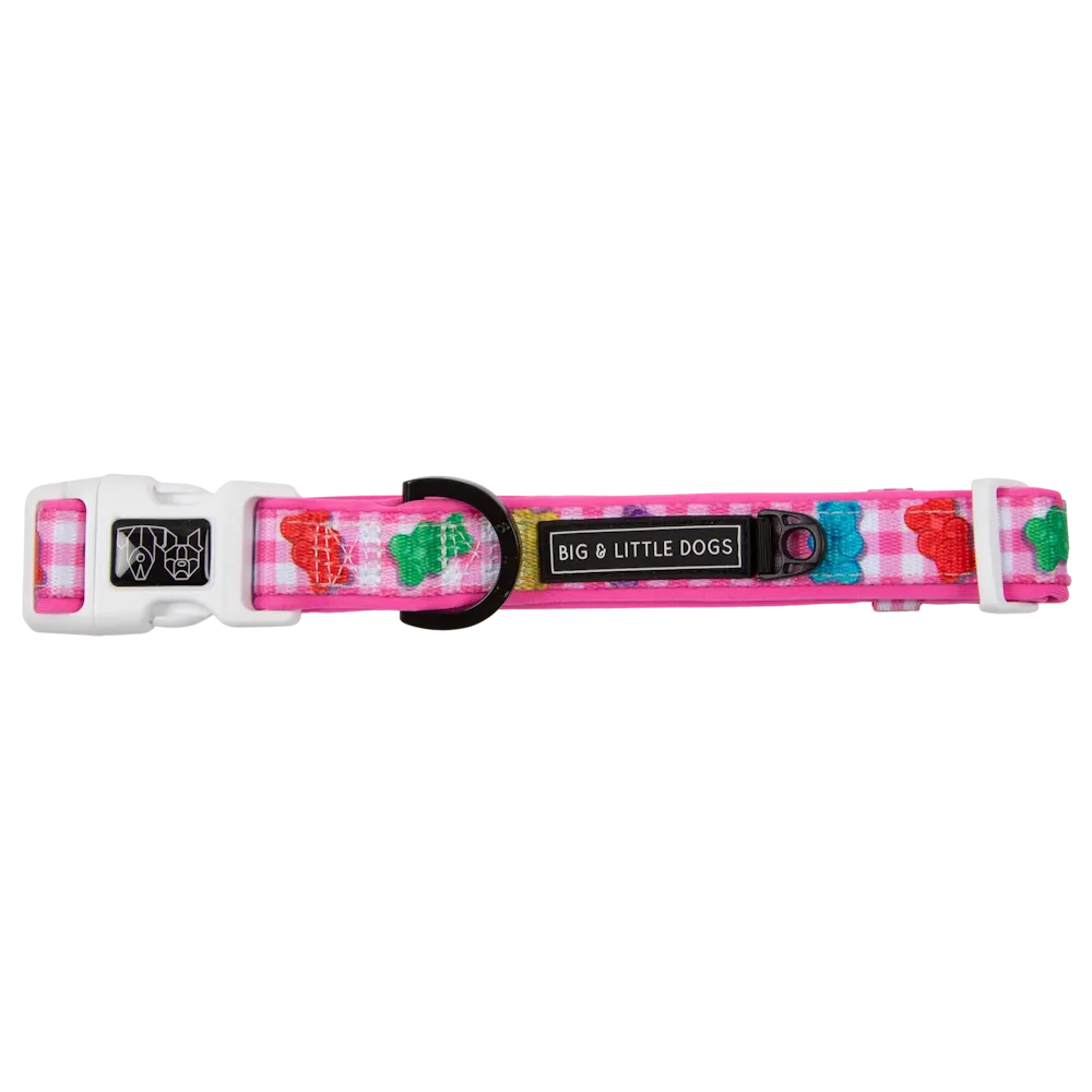 Big & Little Dogs Beary Sweet Collar & Bow Tie