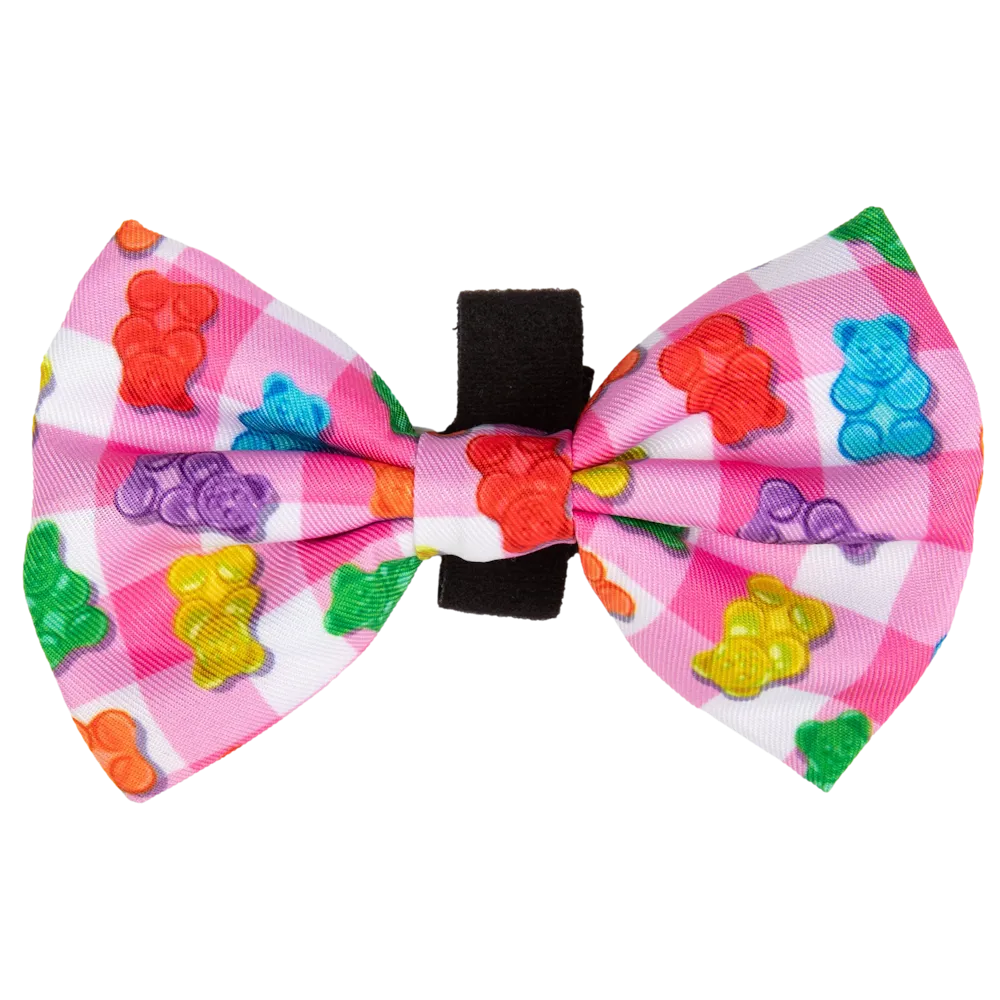 Big & Little Dogs Beary Sweet Collar & Bow Tie