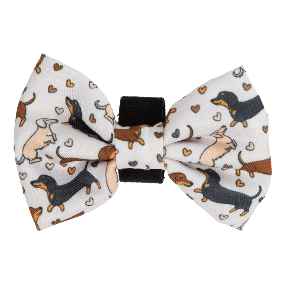Big & Little Dogs Dashie Lovers Collar & Bow Tie