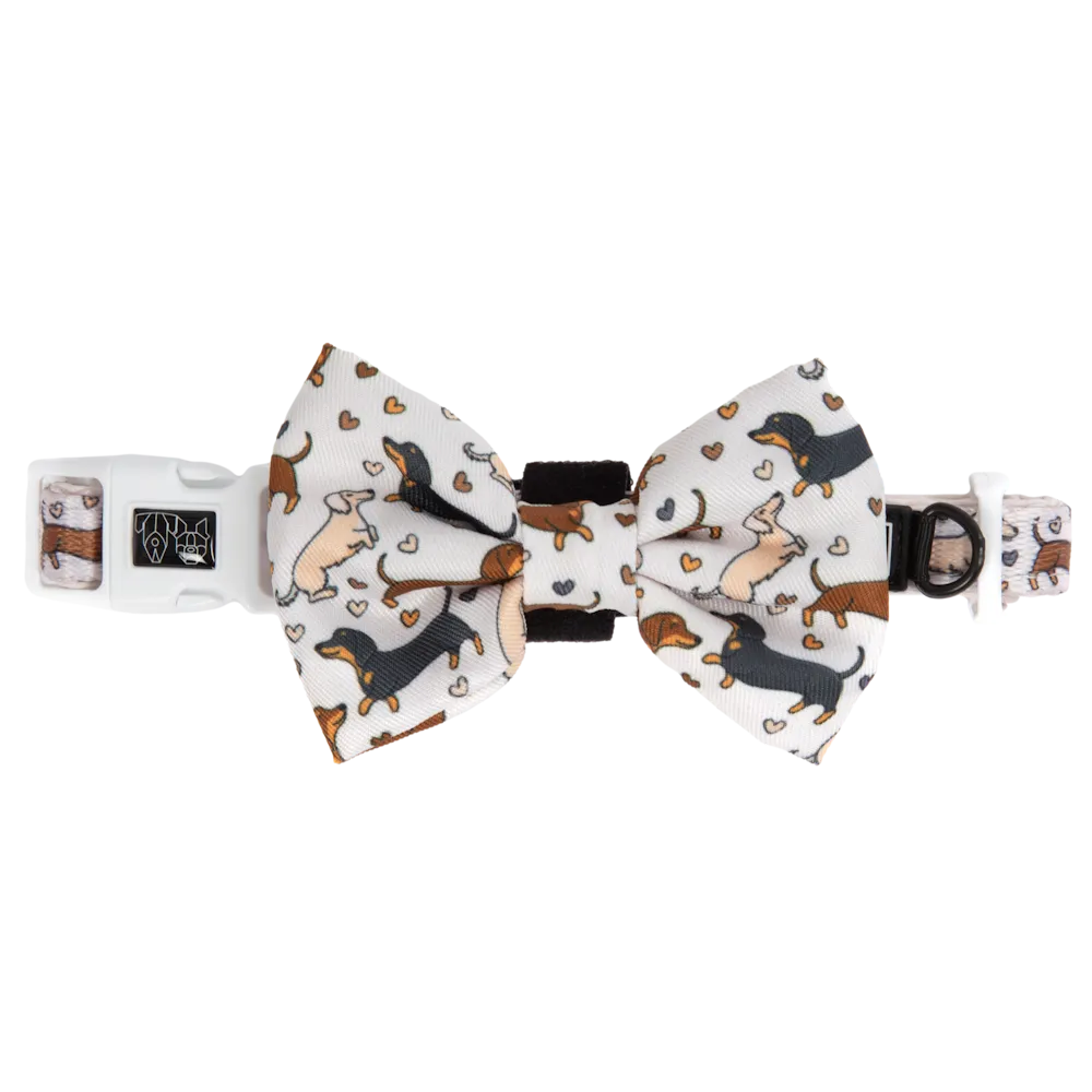 Big & Little Dogs Dashie Lovers Collar & Bow Tie small animal food rabbit pellets hamster food guinea pig snacks small pet mix