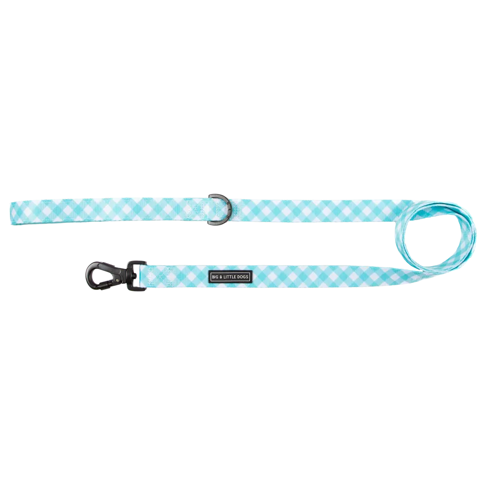 Big & Little Dogs Dog Leash - Peppermint Gingham