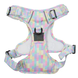 Big & Little Dogs Gelato All Rounder Harness small animal food rabbit pellets hamster food guinea pig snacks small pet mix