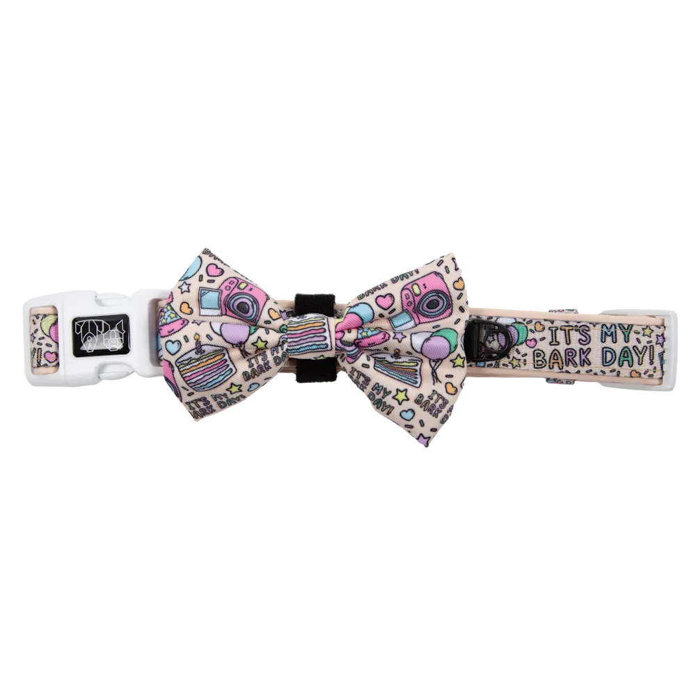 Big & Little Dogs It's My Bark Day Collar & Bow Tie small animal food rabbit pellets hamster food guinea pig snacks small pet mix