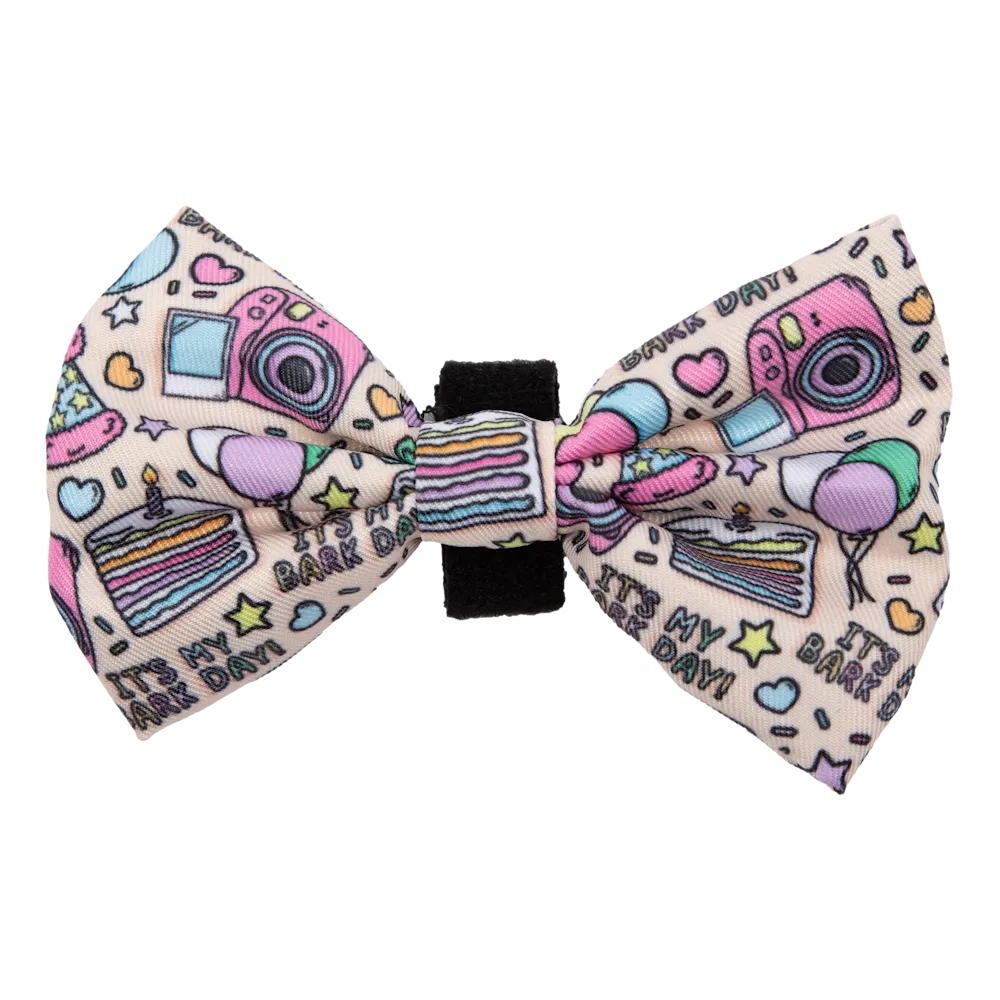 Big & Little Dogs It's My Bark Day Collar & Bow Tie